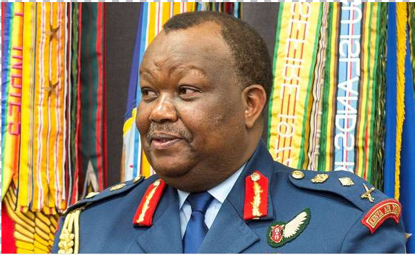 Ruto Names Kibaki-Era CDF Karangi Population Council Board Chairperson