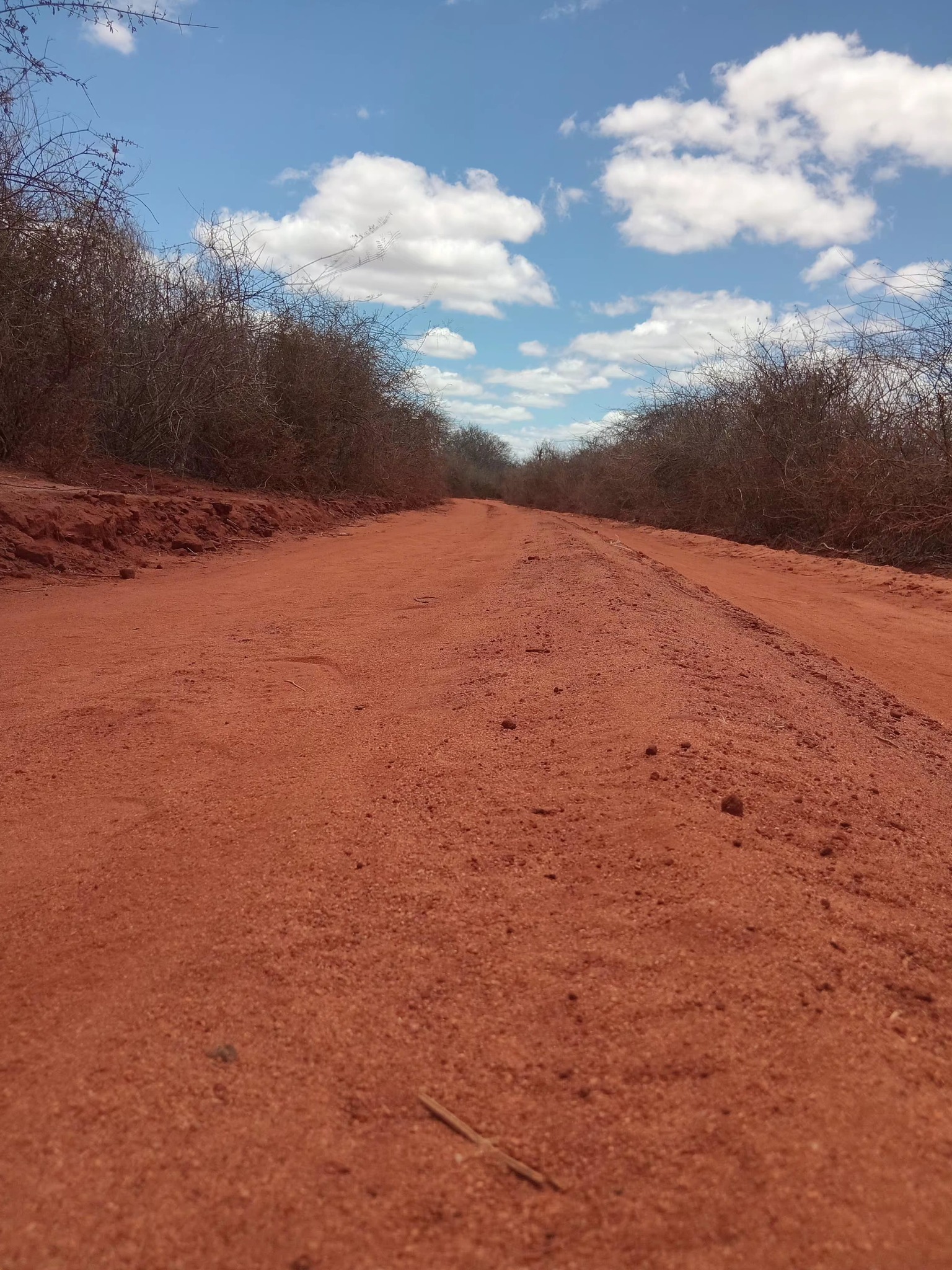 Kaluluini – Mekyui Road Improvement